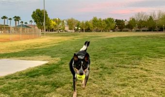 125 CHAPMAN BEND Ave, Henderson, NV 89015