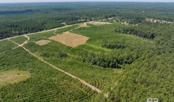 0 Horseneck Rd, Bay Minette, AL 36507