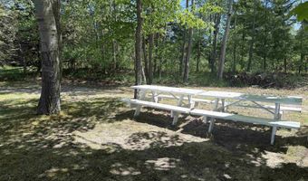 8923 SE Torch Lake Dr, Alden, MI 49612
