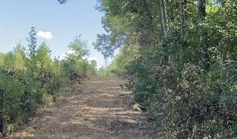 001 Farr Rd, Bolton, MS 39041