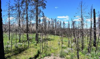 2025 Granite Rd, Bellvue, CO 80512