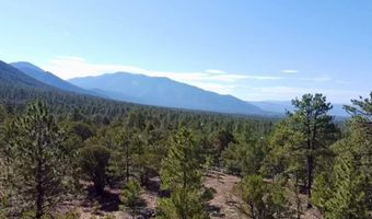 Tract B 266 Gallina Canyon Road, Valdez, NM 87580