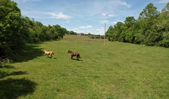12459 County Road 5-402, Ava, MO 65608