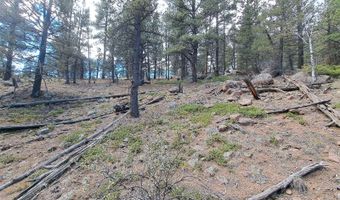 1077 Roland Dr, Bailey, CO 80421