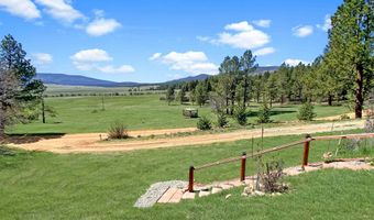 39 Martin Luther King Jr Blvd, Angel Fire, NM 87710