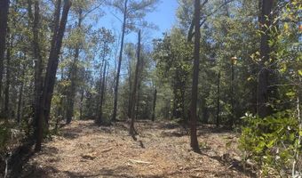 Pasofino Lane, Alford, FL 32420