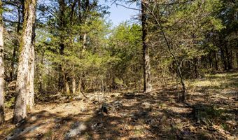 16032 Farm Road 1212, Aurora, MO 65605