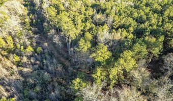 2870 County Road 2604, Alto, TX 75925
