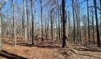 Flint Ridge Road lot 6, Albemarle, NC 28001