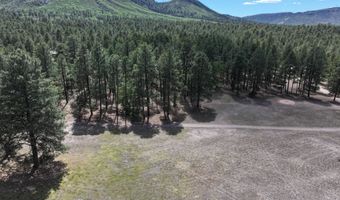 58 County Road N2122, Alpine, AZ 85920