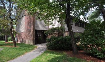 505 Tumbling Hawk 505, Acton, MA 01718