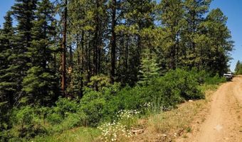 176 Big Timber Dr, Bayfield, CO 81122