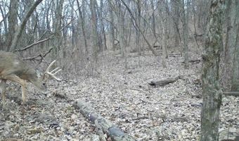 197 Th Trl, Albia, IA 52531