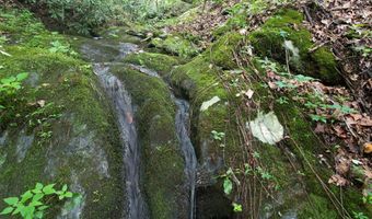 Hall Hollow Road, Austinville, VA 24312