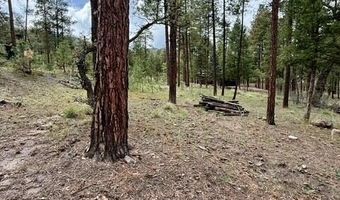 7 Eric Ln, Alpine, AZ 85920