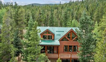 287 S Skinner Rd, Allenspark, CO 80510