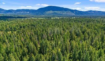 28801 N LEWELLEN CREEK Rd, Athol, ID 83801
