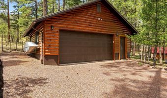 6 County Road 2070, Alpine, AZ 85920