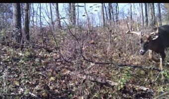 7330 Roberts Rd, Arena, WI 53503
