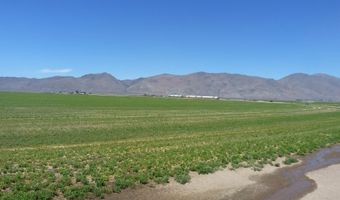 51955 Wilder Creek Rd, Denio, NV 89404