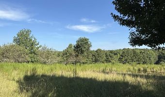 1150 Buzzard Rock Rd, Altoona, AL 35952