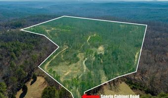 170 Sperin Cabinet Rd, Ball Ground, GA 30107