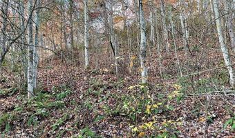 Kimiko Lane lot 43, Balsam Grove, NC 28708