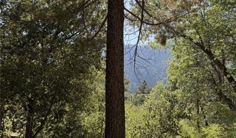 0 Ca-38, Angelus Oaks, CA 92305
