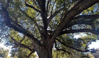 446 Ballentine St, Bay St. Louis, MS 39520