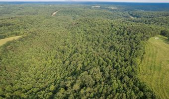 COUNTY ROAD 22, Arley, AL 35541