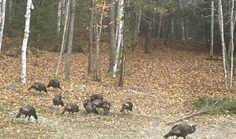 107 Stevenson Way, Bath, ME 04530