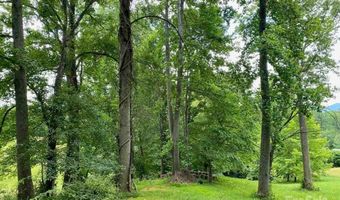 48 Sweet Fern Pkwy 59, Asheville, NC 28804