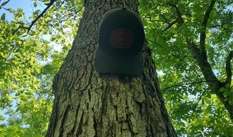 0 County Road 224, Alton, MO 65606