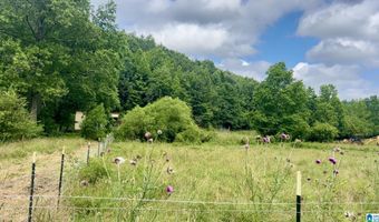 988 MINES Rd 100, Ashland, AL 36251