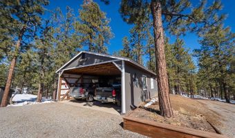 463 Chimney Dr, Bayfield, CO 81122