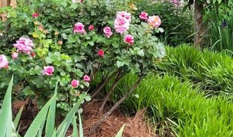 75 Cisco Rd, Asheville, NC 28805