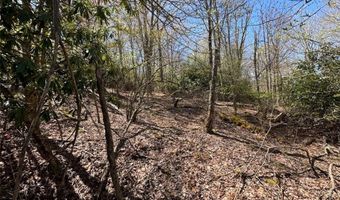 62 Acres Buckeye Ridge Rd, Beech Mountain, NC 28604