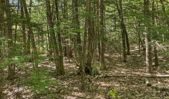 Jesus Valley Road lot 5-2-1, Alton, NH 03810
