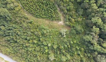 Tract 11 Mt Zion Road 11, Camden, SC 29020