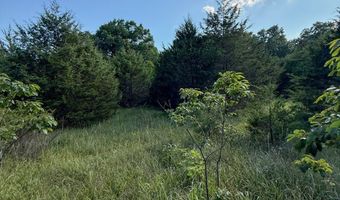 Co Rd 539, Ava, MO 65629