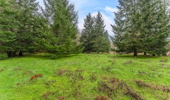 Upper Cow Creek Road, Azalea, OR 97410