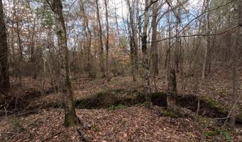 Saint John Road, Braxton, MS 39044