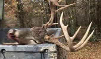 Gun Baoyu Road, Belzoni, MS 39038