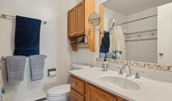 534 And 536 Spruce St 1 And 2, Aspen, CO 81611