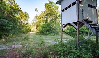 0 DM TILLMAN, Baxley, GA 31563