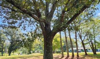 561 County Road 800, Blue Mountain, MS 38610