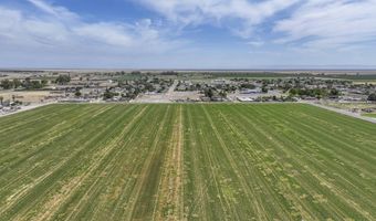 Road 38, Alpaugh, CA 93201