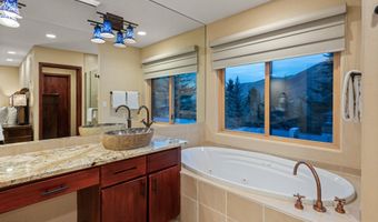 650 S Monarch St 4, Aspen, CO 81611