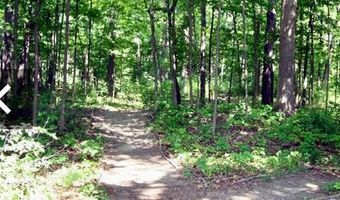 2736 BARCLAY Way NE 4, Ann Arbor, MI 48105