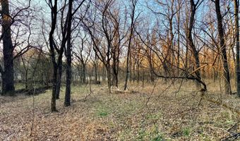 0002 CR-290, Asbury, MO 64832